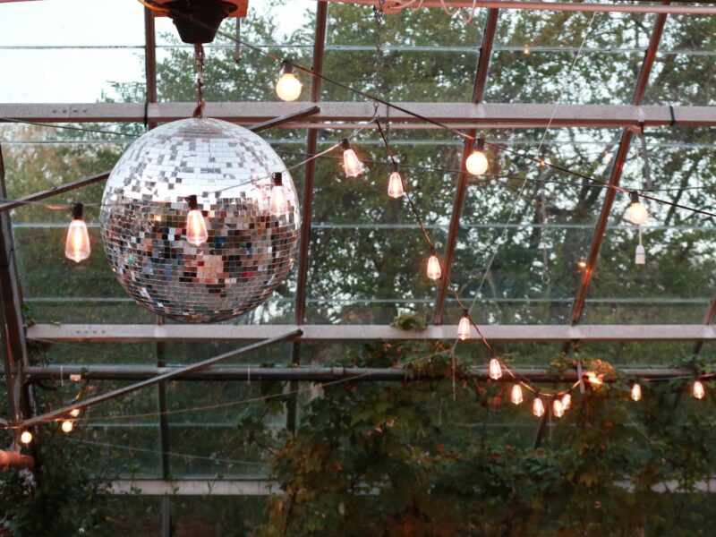 The disco ball in the greenhouse with festoon lighting around it