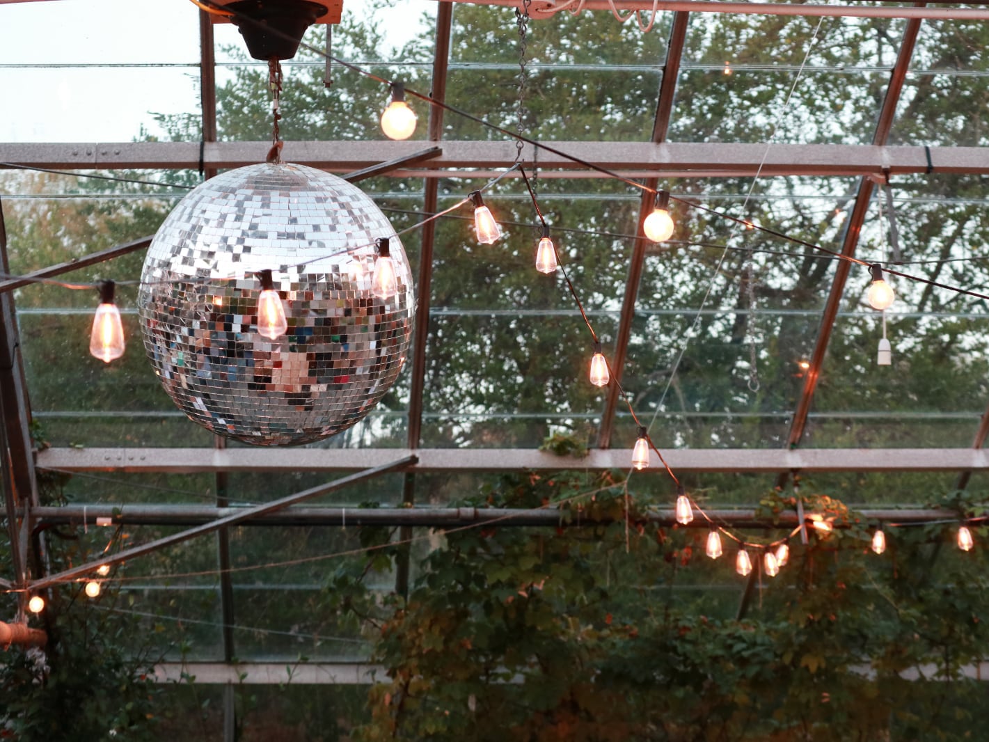 The disco ball in the greenhouse with festoon lighting around it