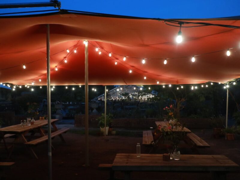 The view through the stretch tent towards the greenhouse with festoon lighting