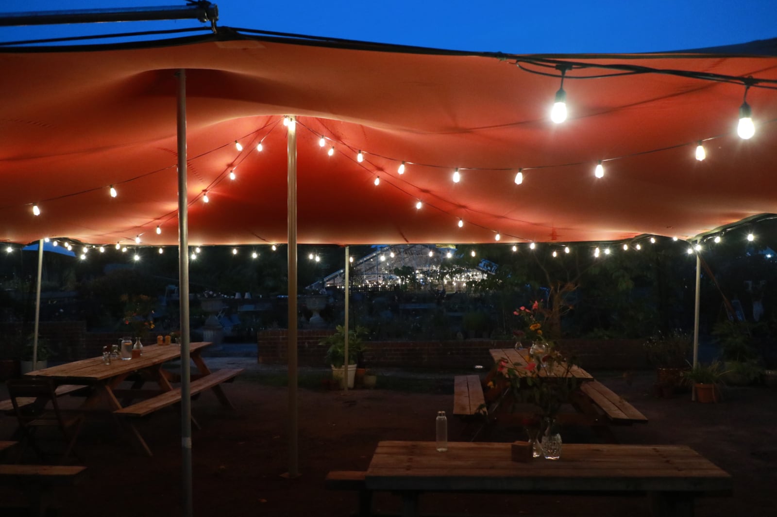 The view of the greenhouse from the stretch tent.