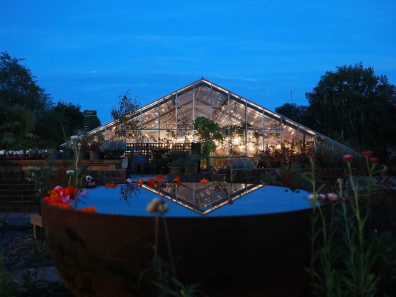 The Babylon Greenhouse lit up at night