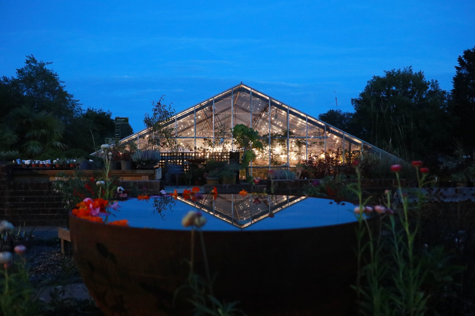 The view of the greenhouse lit up at night with one of our water bowls in the foreground.
