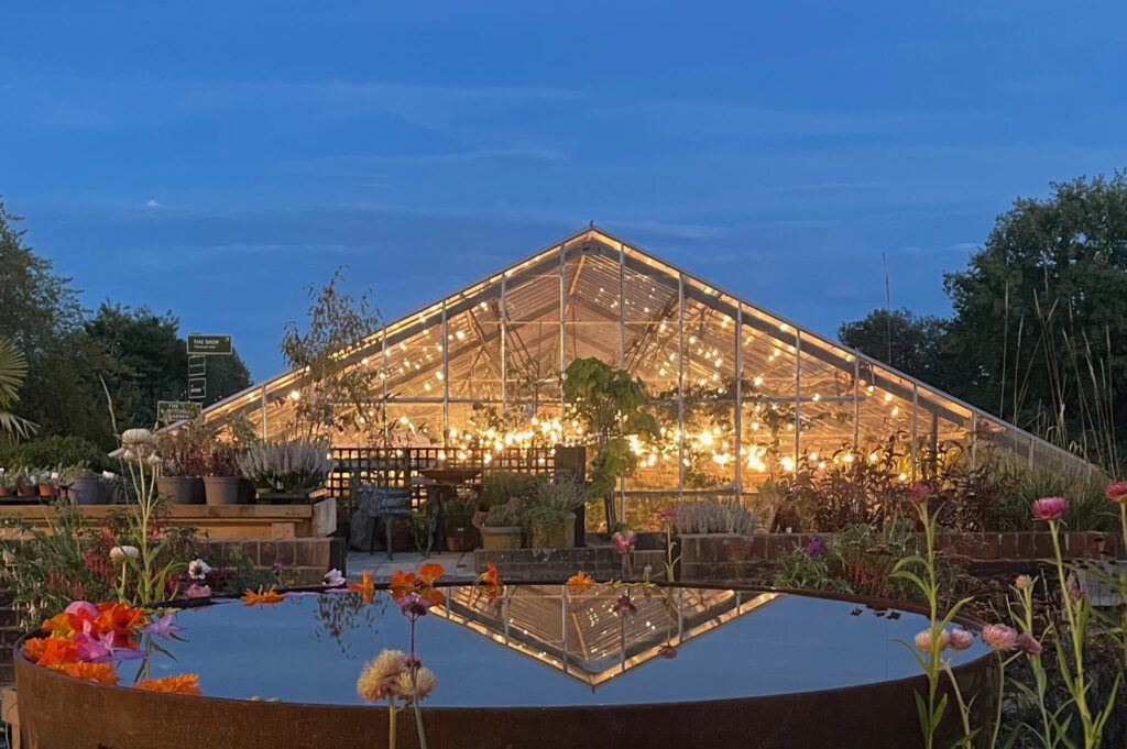 The Babylon greenhouse lit up at night with lights