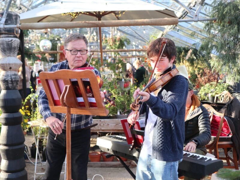 The 'House band' playing live in the greenhouse.