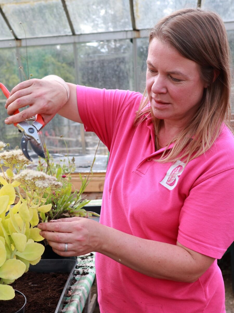 Rachael Collins our head of horticulture