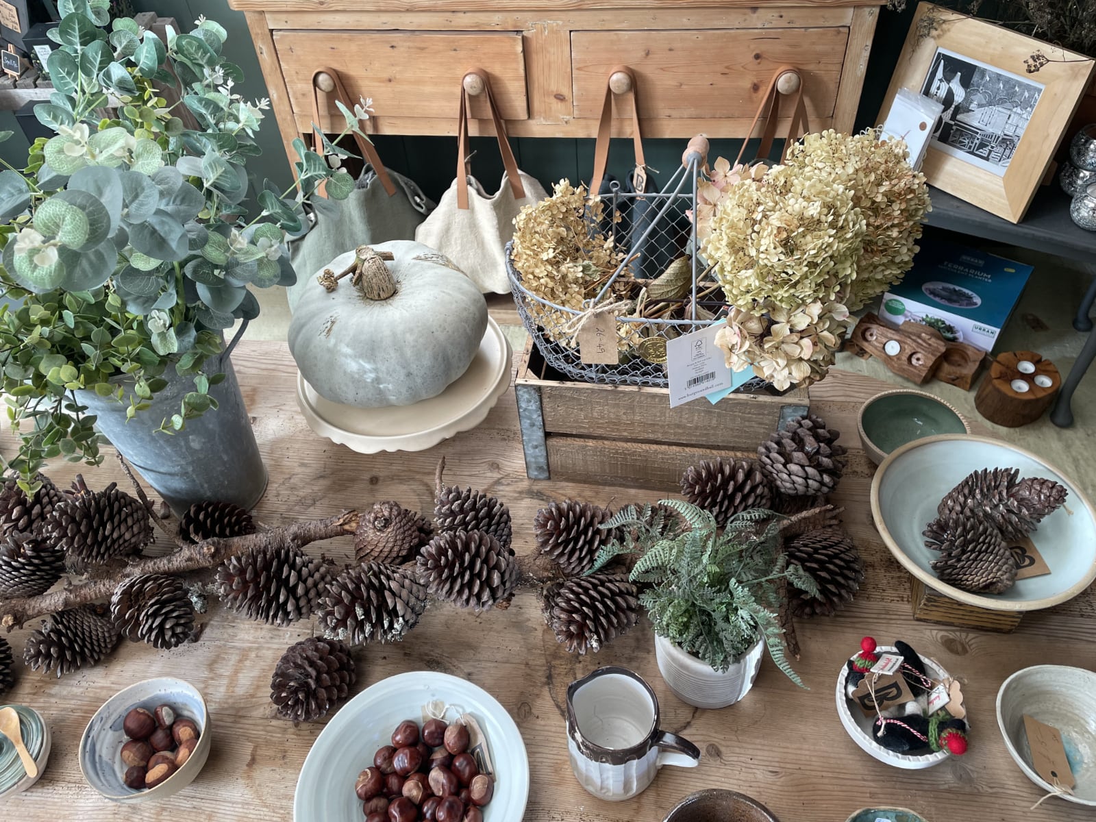 A display of home and lifestyle products to buy in our shop.