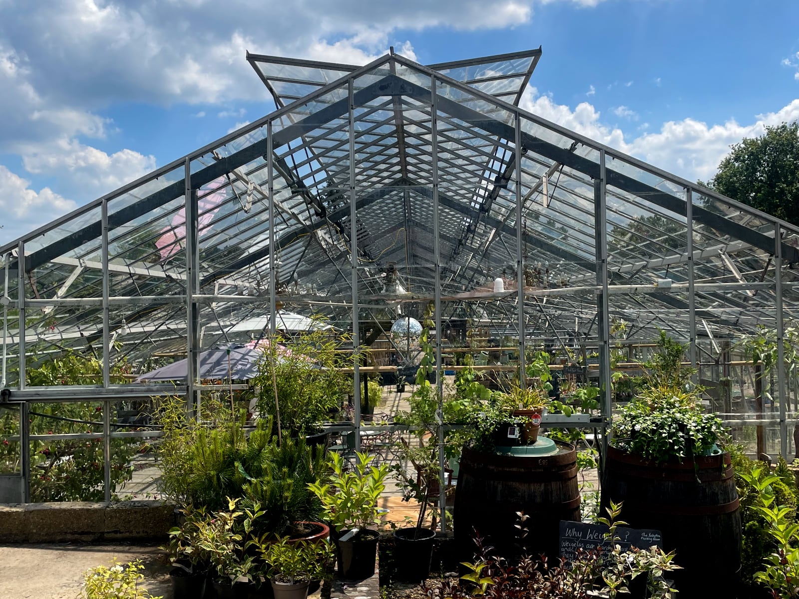 The greenhouse at Babylon.