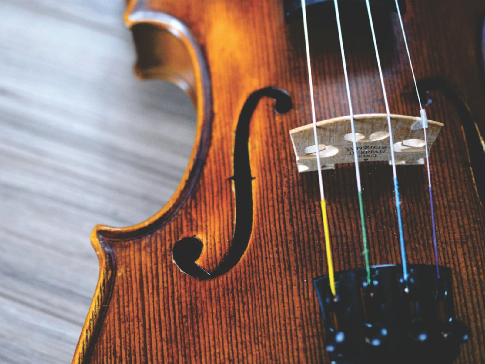 Close up image of a violin