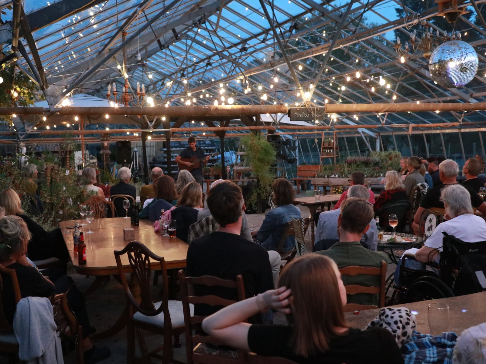 Inside the greenhouse at one of our live music events.
