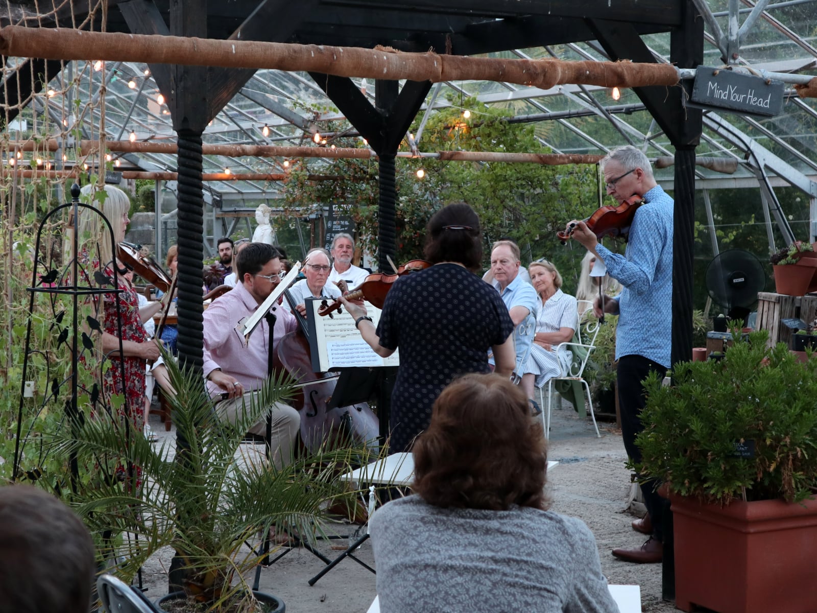 A view across the greenhouse at Babylon, with the string quartet playing.
