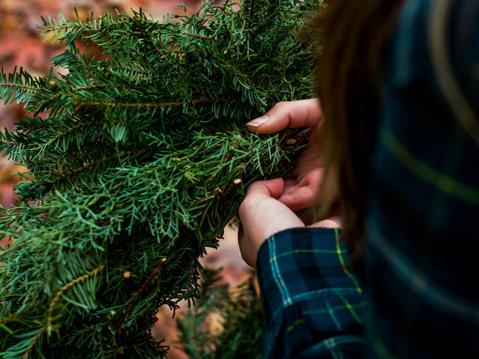 Hands holding the materials to make a Christmas garland.